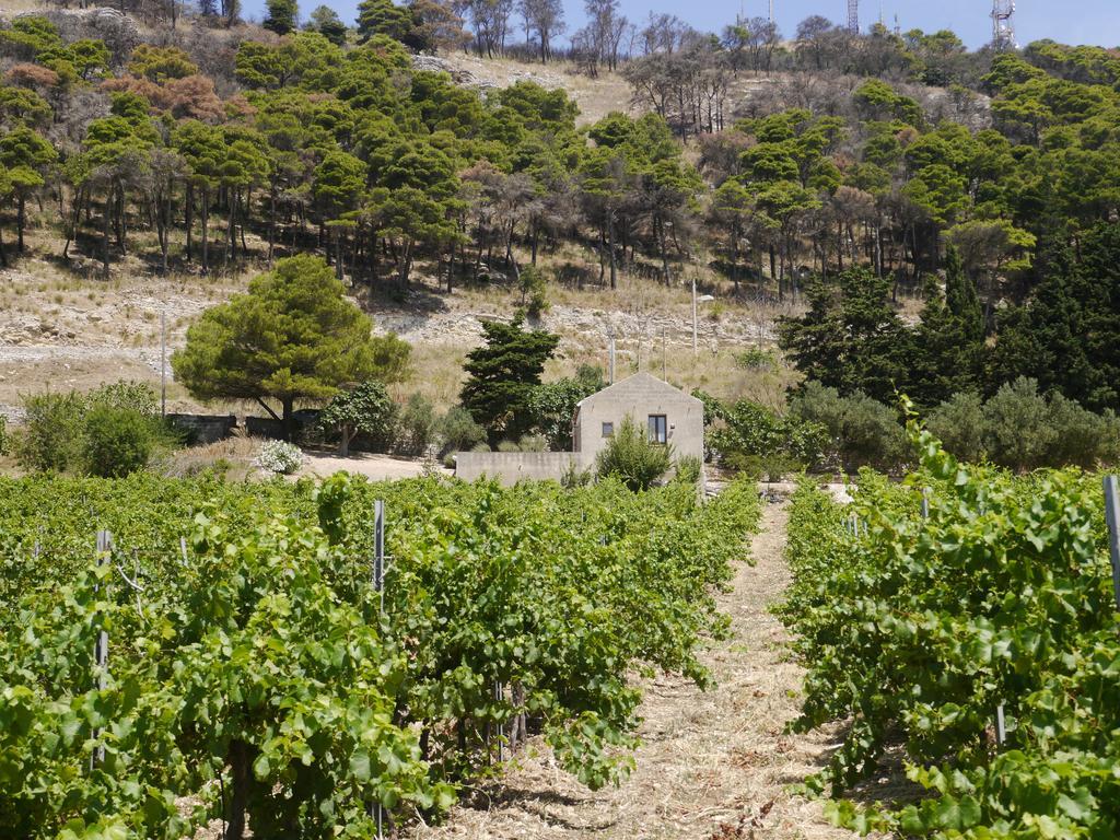 Gasthaus Casa Nel Vigneto Erice Exterior foto