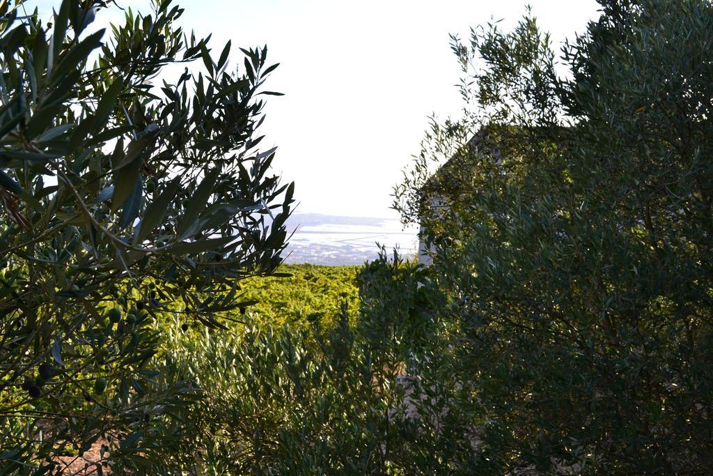 Gasthaus Casa Nel Vigneto Erice Exterior foto